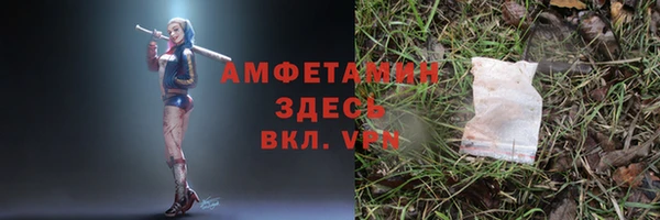 прущие грибы Абаза