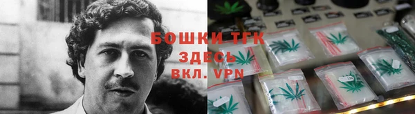прущие грибы Абаза