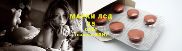 прущие грибы Абаза