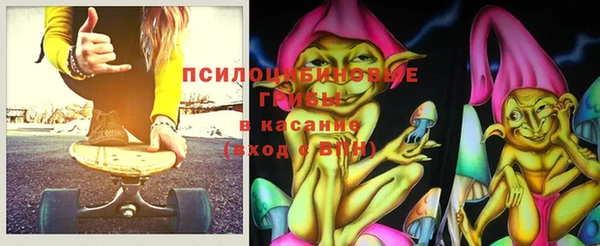 прущие грибы Абаза