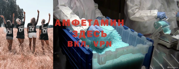 прущие грибы Абаза