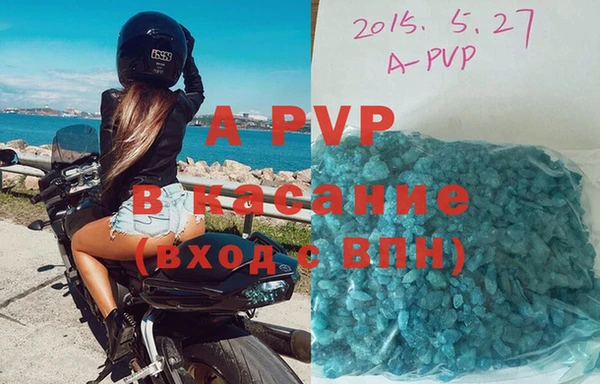 прущие грибы Абаза